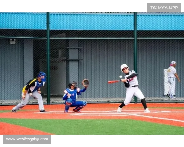 31支台湾青少年棒球队850多人次来莲比赛，连城6次赴台交流